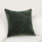 Goodall Velvet Pillow Cover & Insert-103639454-103639430