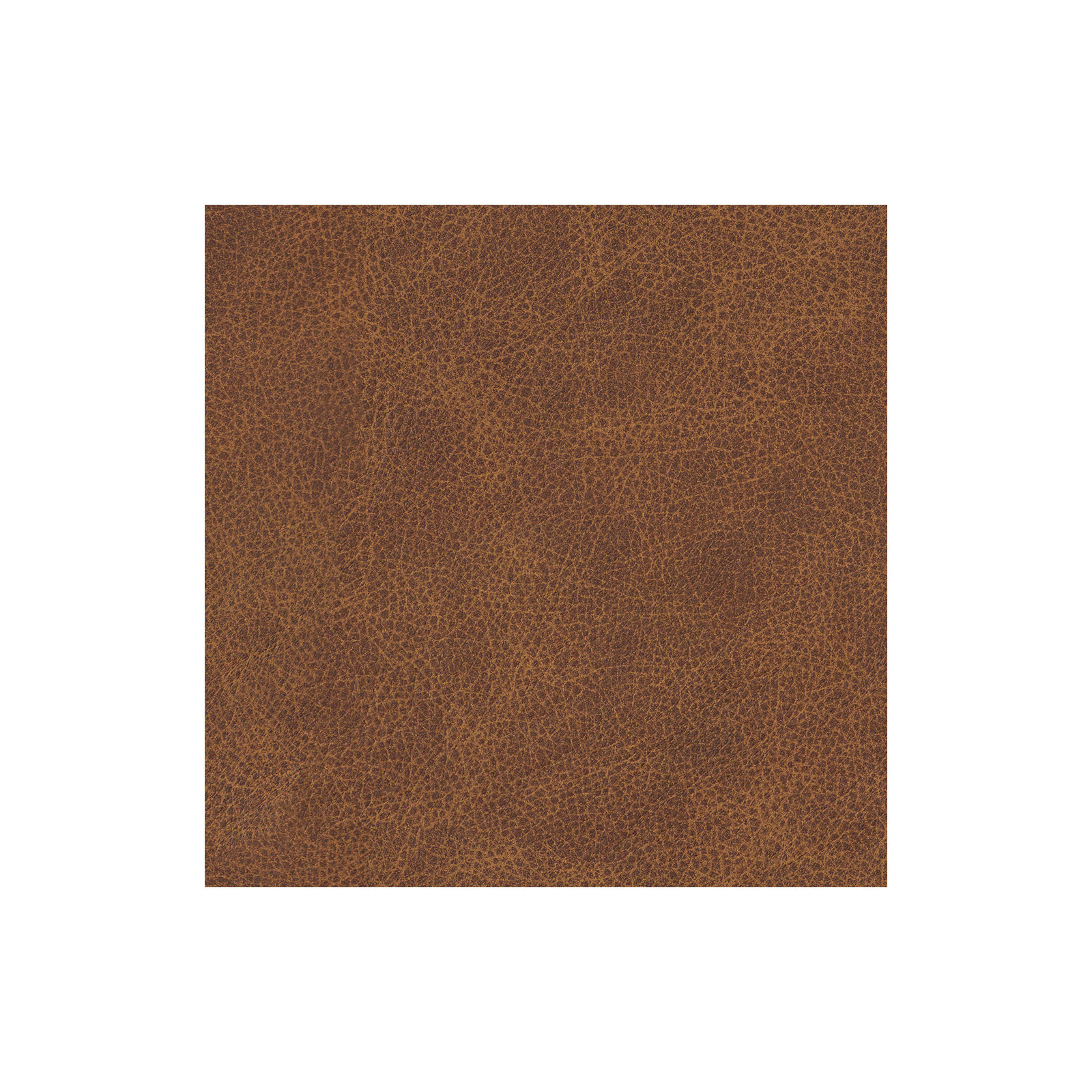 Fletcher Genuine Leather Down Cushion Armchair, Brown Top Grain Leather