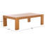 Nikole Rectangle Wood Coffee Table-1339777191