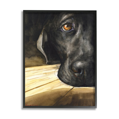 Labrador, repos, animal de compagnie, portrait