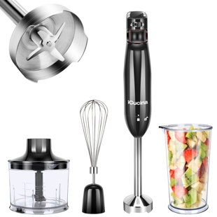 ICucina 2 Speed Hand Immersion Blender