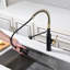 Robinet de cuisine rétractable Sumerain S6132P-XX-6133-101716390