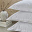 Sierra 100% Egyptian cotton percale Shams-1810174596-1810174598