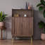Popular retro storage shoe cabinet