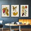 Belle Bauce - Ensemble de 3 cadres photo sur toile-160653831-160653828
