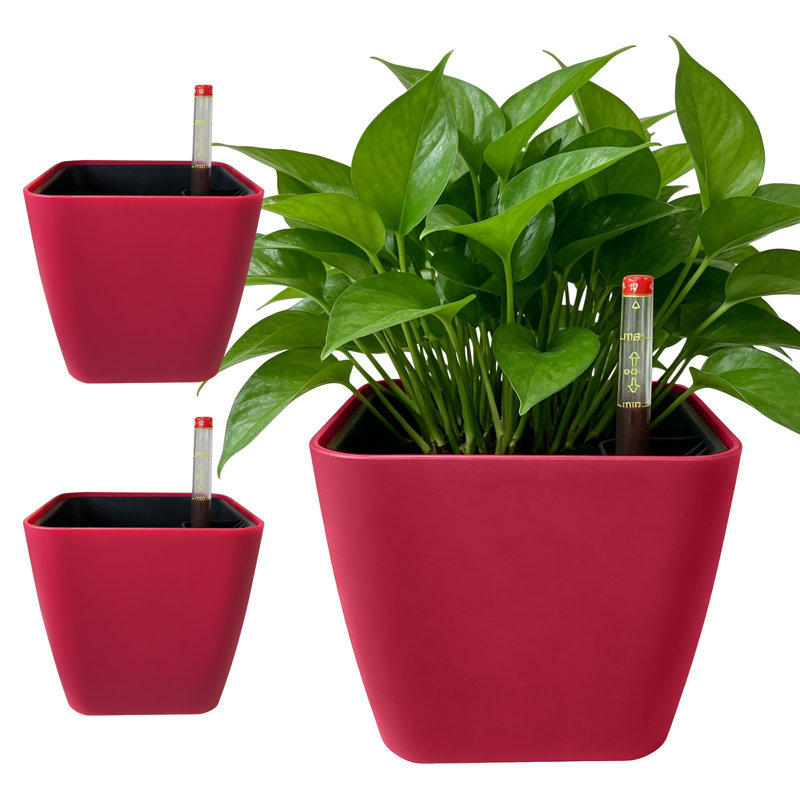 Ensemble de 3 pots à plantes auto-arrosants - Carré 5,2 po avec indicateur pour plantes d'intérieur, rouge
