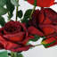 Plastic, Silk Artificial Arrangement-88685033