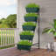 Jardinière verticale surélevée à 5 niveaux-464399670