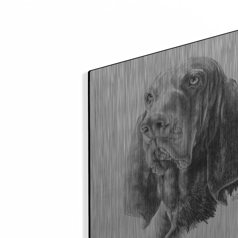 «B And T Coonhound» par Barbara Keith, H 16 po x l 12 po