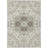 Machine Washable Indoor/Outdoor Chayden ACN1036 Rug-2146265982