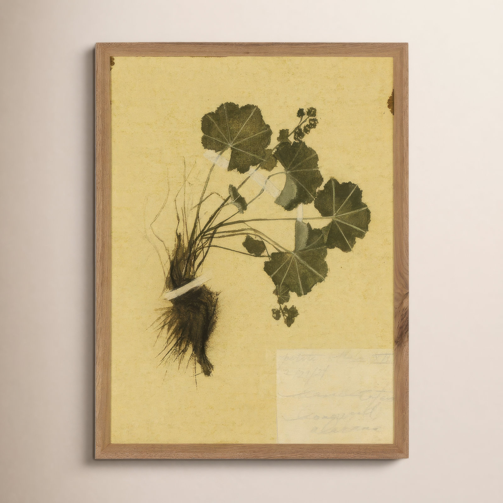"Petite Study No. Vii" by Hannah Winters, 32" H x 24" W