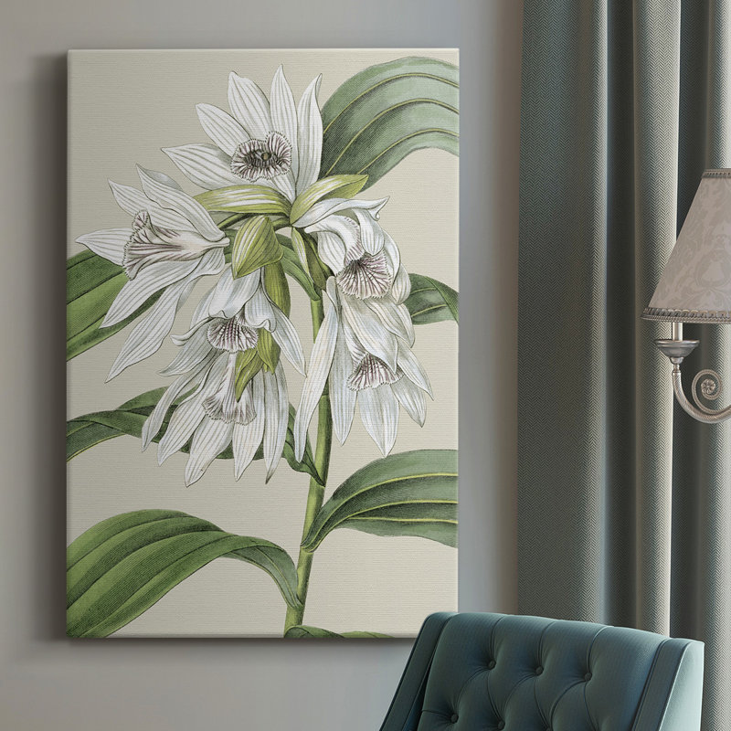 Toile tendue avec châssis Orchid Blooms III, H 18 po x l 12 po x P 1 po