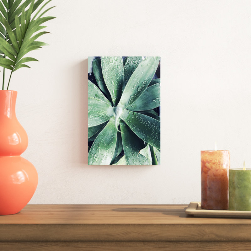 Vert succulent tropical vert III, H 18 po x l 12 po x P 1,25 po