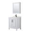 Daria 30'' W Vanity-1025185330-1025185328-1025223858