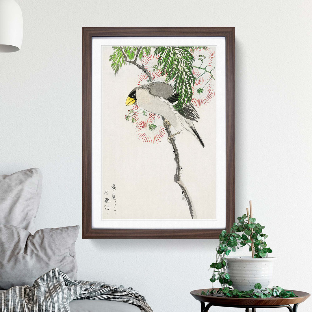 Masked Hawfinch & Silk Tree by Numata Kashu - Framed Print