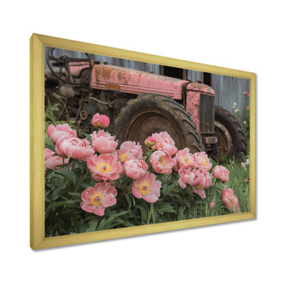 Pivoines par le vieux tracteur V - pivoines, art mural