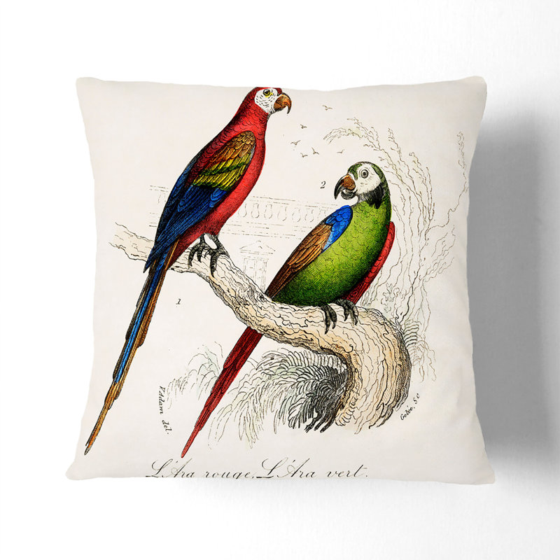 Macaw Cushion with Filling, Black, 55cm H x 55cm W x 20cm D