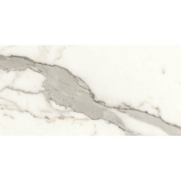JEM Capriccio Grey Matte Porcelain Floor & Wall Tile (12"x24")