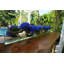 Hydrangeas and Driftwood in Vase