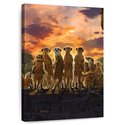 Brampt Meerkats