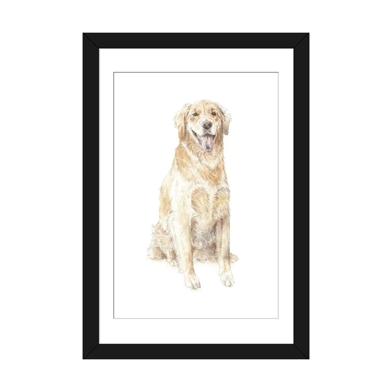 Golden Retriever - reproduction d'art sur toile tendue, H 24 po x l 16 po x P 1 po, Papier d'art encadré noir, Blanc