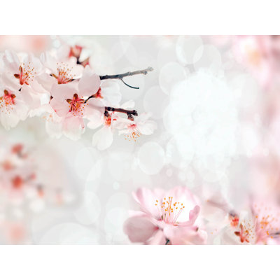 Magnetic Glass Photo Memo Board