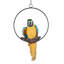 Statue de perroquet Polly au paradis-5821621