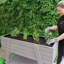 Cardea Wood Raised Bed