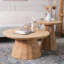 Ensemble de tables basses Modern Modern Burlywood