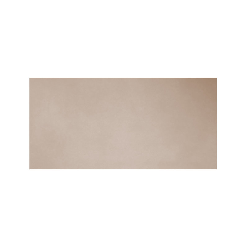 Spectre latte 12 po X 24 po Carreau de plancher et de mur en porcelaine matte (13,57 pieds carrés / caisse), Brun