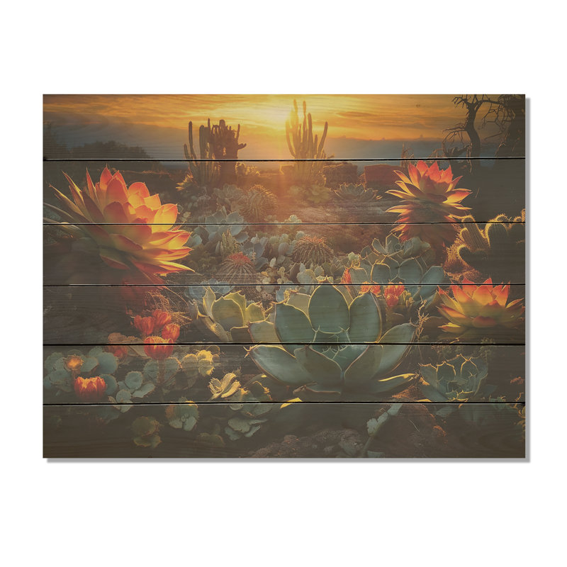 Succulent désert, cactus brûlant, coucher de soleil sur bois de pin naturel, H 30 po x l 40 po