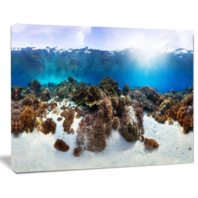«Indonésie Underwater Panorama», reproduction de photo sur toile tendue, H 30 po x l 40 po