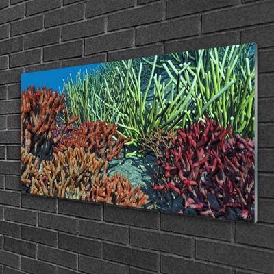 Glass Print Wall Art 100X50cm Image Printed On Glass Decorative Wall Picture Behind Toughened / Tempered Safety Real Glass For Kitchen & Living Room Theme: Coral Reef Nature