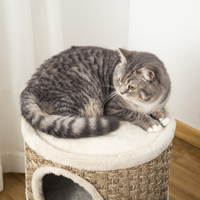 27.5'' H Deborath Cat Tree