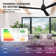 52" Kaleiyah 3 - Blade Propeller Ceiling Fan without Lights