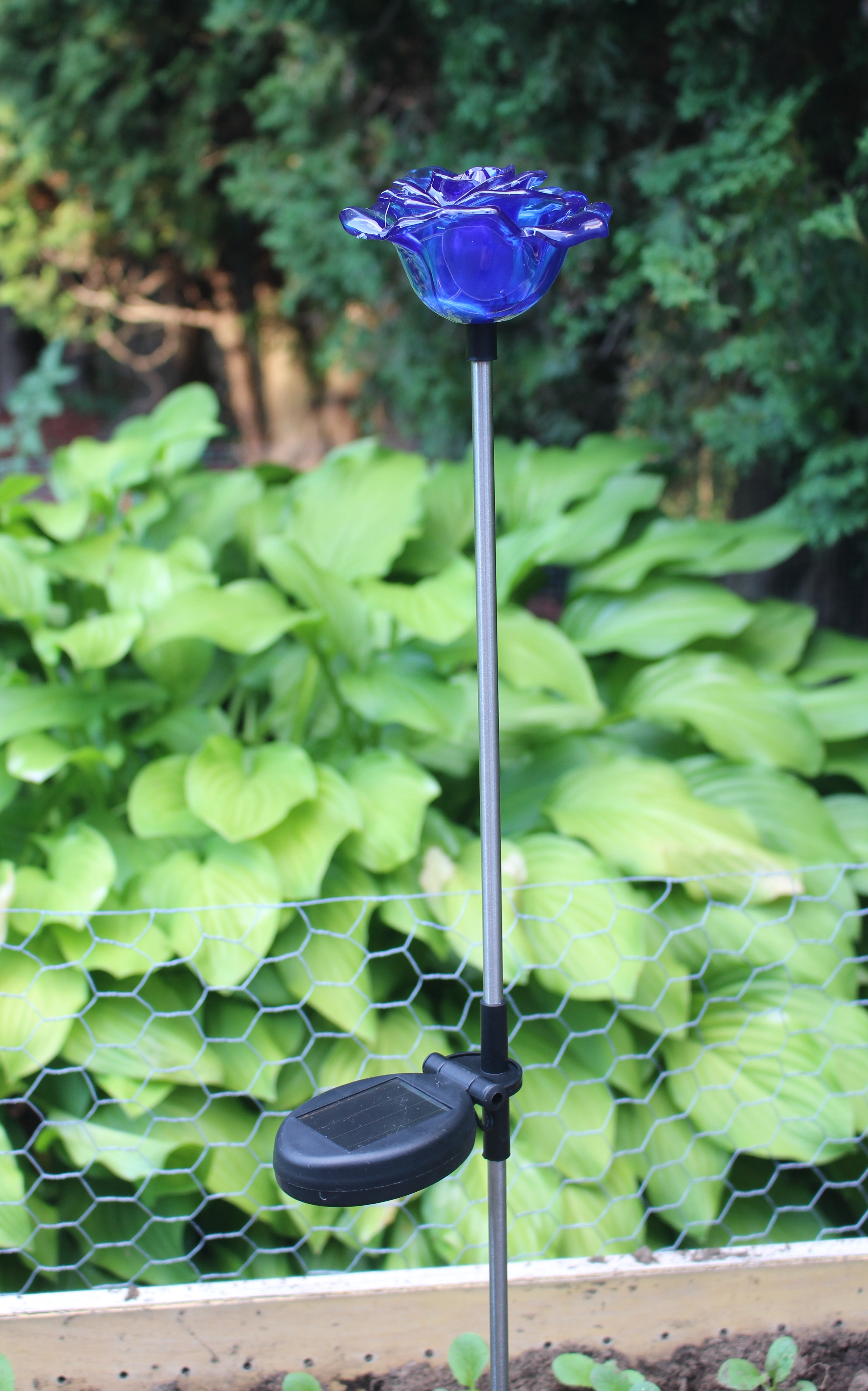 Amples Solar Powered Blue Rose Flower Garden Decoration Stake Outdoor ...