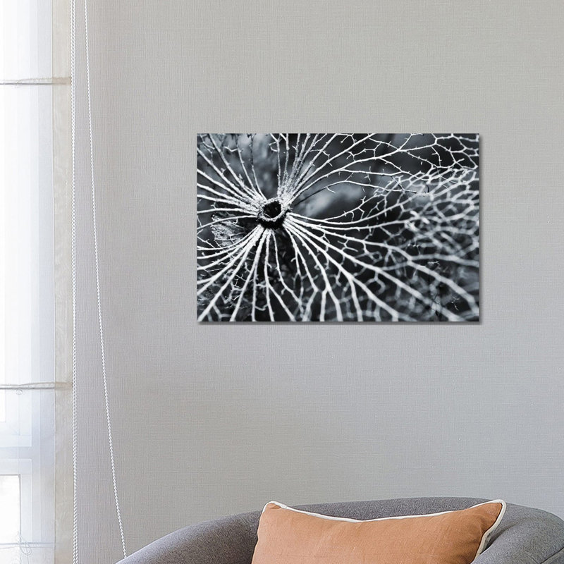 Winterspell 1 Piece Wrapped Canvas Wall Art, 66.04 cm H x 45.72 cm W x 1.91 cm D