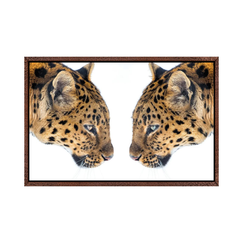 Mirrored by David Gardiner - Print on Canvas, 101.6 cm H x 66.04 cm W, Brown Framed