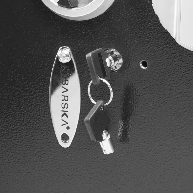 0.52 CUBIC FT BIOMETRIC WALL SAFE