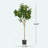 ARTIFICIAL LEMON TREE
