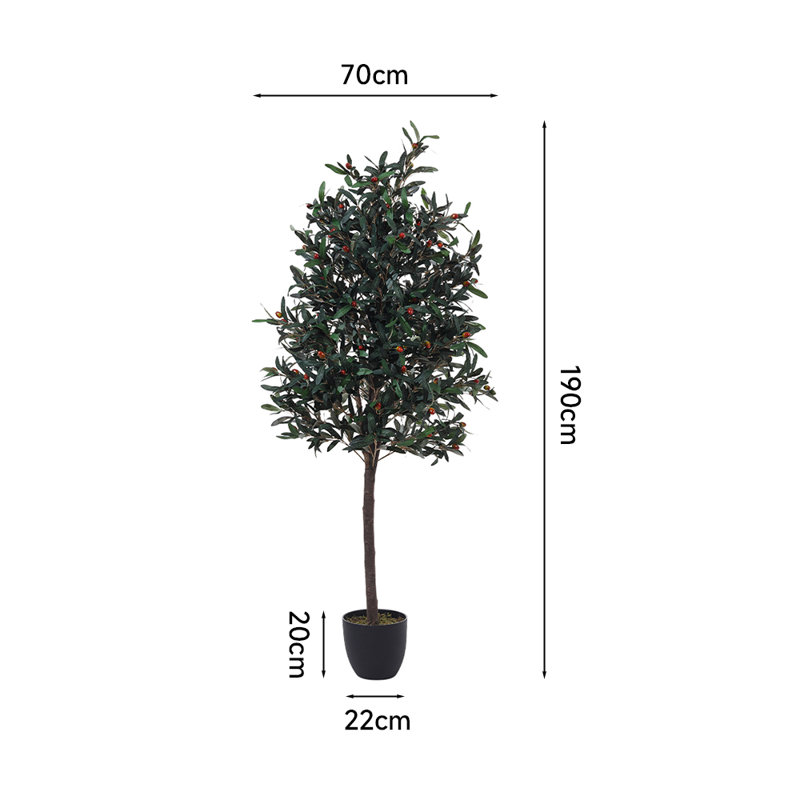190cm Plant