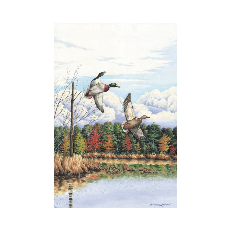Duck by Bob Schmidt - Wrapped Canvas Gallery-Wrapped Canvas Giclée, 20.32 cm H x 30.48 cm W
