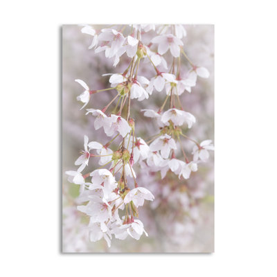 « mou cerises fleurs », reproduction de photo