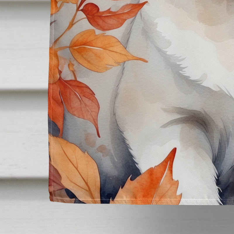 Chat en feuilles d'automne, Blanc étranger
