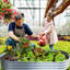 Lit de jardin surélevé galvanisé pour l'extérieur-794833586