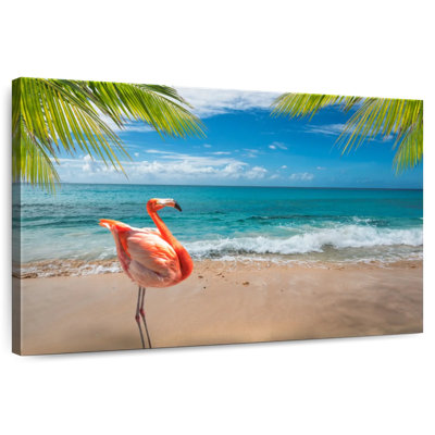 Flamingo In Aruba
