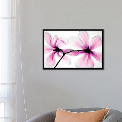 " Magnolias II " by Hong Pham