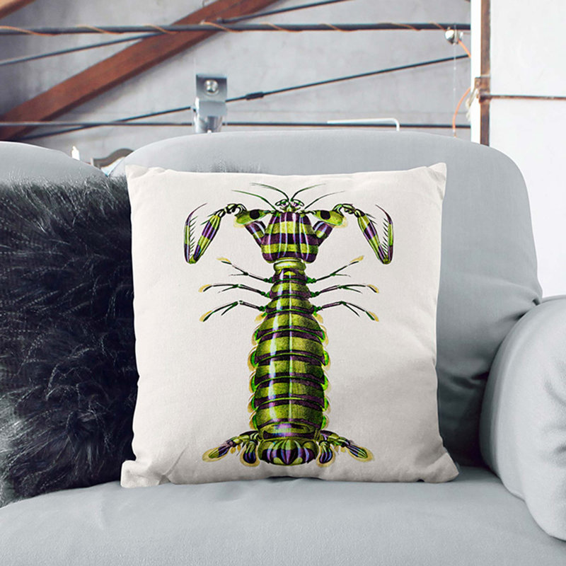 Square Throw Cushion, 40cm H x 40cm W x 15cm D