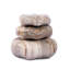 Petrified Wood Organic Sculpture-436953486