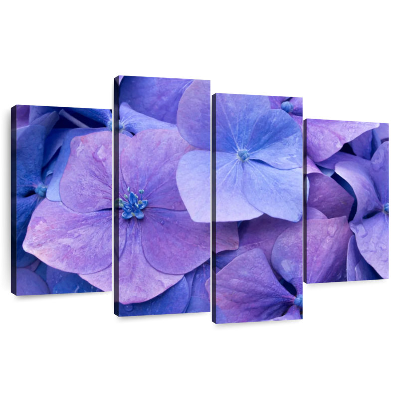 Hortensias mauves Harnek, H 27 po x l 43 po